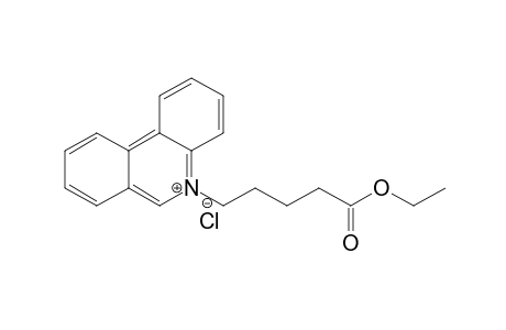 N-[4-(Ethoxycarbonyl)butyl]phenanthridinium chloride