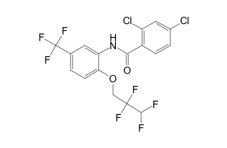2,4-Dichloro-N-[2-(2,2,3,3-tetrafluoropropoxy)-5-(trifluoromethyl)phenyl]benzamide