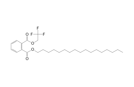 Phthalic acid, 2,2,2-trifluoroethyl heptadecyl ester