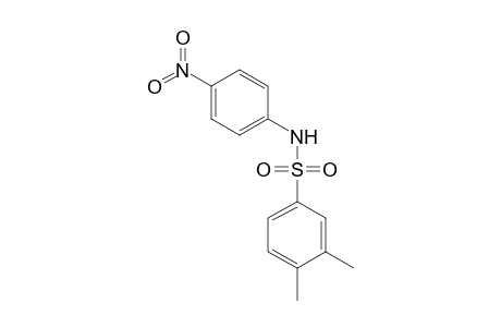 Benzenesulfonamide, 3,4-dimethyl-N-(4-nitrophenyl)-