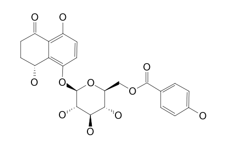 (4S)-4,5,8-TRIHYDROXY-ALPHA-TETRALONE-5-O-BETA-D-(6'-O-4''-HYDROXYBENZOYL)-GLUCOPYRANOSIDE