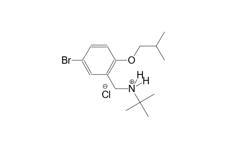 N-(5-bromo-2-isobutoxybenzyl)-2-methyl-2-propanaminium chloride
