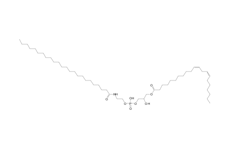 LNAPE 21:2/N-24:0
