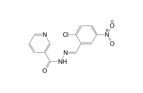 N'-[(E)-(2-chloro-5-nitrophenyl)methylidene]nicotinohydrazide