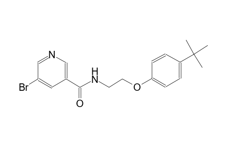 5-Bromo-N-[2-(4-tert-butyl-phenoxy)-ethyl]-nicotinamide