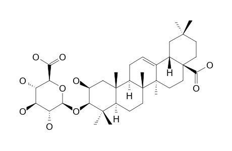 CARYOCAROSIDE_IV-5;3-O-BETA-D-GLUCURONOPYRANOSYL-2-BETA-HYDROXYOLEANOLIC_ACID