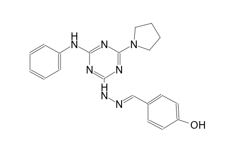 benzaldehyde, 4-hydroxy-, [4-(phenylamino)-6-(1-pyrrolidinyl)-1,3,5-triazin-2-yl]hydrazone