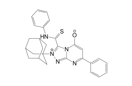 2-Adamantanyl-7-phenyl-3-phenylcarbamothioyl-1,2,4-triazolo[4,3-a]pyrimidin-2-ium-5-olate