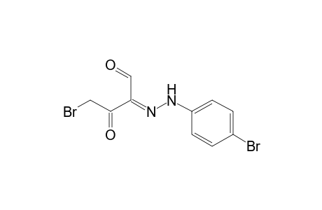 Butanal, 4-bromo-2-[2-(4-bromophenyl)hydrazinylidene]-3-oxo-