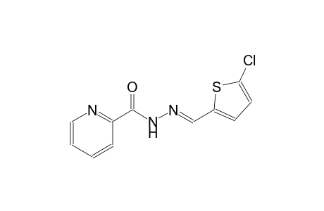 N'-[(E)-(5-chloro-2-thienyl)methylidene]-2-pyridinecarbohydrazide