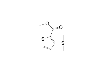 2-Thiophenecarboxylic acid, 3-(trimethylsilyl)-, methyl ester