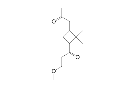 1-[2,2-dimethyl-3-(2-oxopropyl)cyclobutyl]-3-methoxy-1-propanone