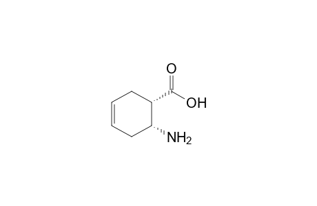 cis-6-aminocyclohex-3-ene-1-carboxylic acid