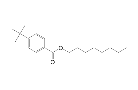 Benzoic acid, 4-tert-butyl-, octyl ester