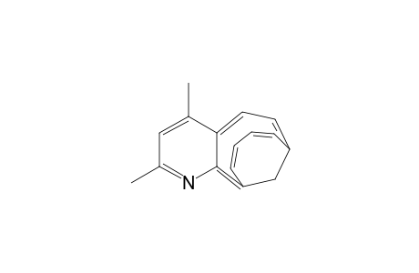 2,4-Dimethyl-7,12-methanocyclodeca[b]pyridine