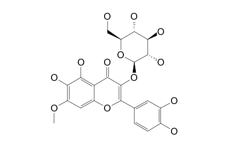 QUERCETAGETIN-7-METHYLETHER-3-O-BETA-D-GLUCOPYRANOSIDE