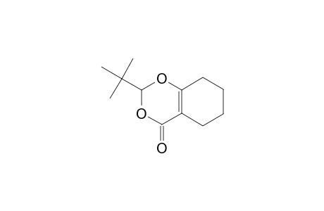 2-tert-Butyl-5,6,7,8-tetrahydro-4H-1,3-benzodioxin-4-one