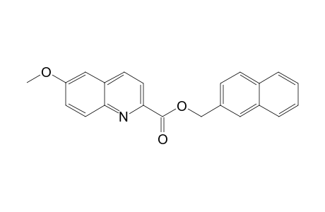 Naphthalen-2-ylmethyl 6-methoxyquinoline-2-carboxylate