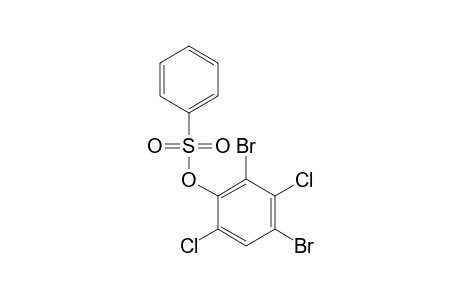 BENZENESULFONIC ACID, 2,4-DIBROMO-3,6-DICHLOROPHENYL ESTER