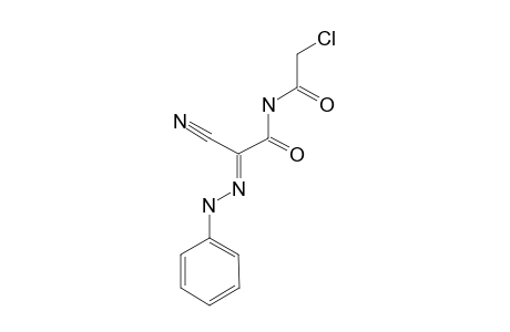 2-PHENYLHYDRAZONO-2-CYAN-N-CHLOR-ACETYL-ACETAMIDE