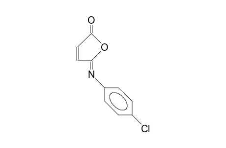 anti-N-Para-chlorophenyl-maleisoimide