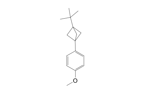 1-{3'-[(t-Butyl)bicyclo[1.1.1]pent-1'-yl]-4-methoxybenzene