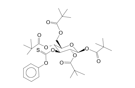 3-O-Phenoxythiocarbonyl-1,2,4,6-tetra-O-pivaloyl-b-d-glucopyranose