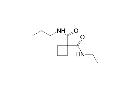 N,N'-dipropyl-1,1-cyclobutanedicarboxamide