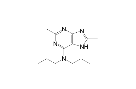 2,8-dimethyl-N,N-dipropyladenine