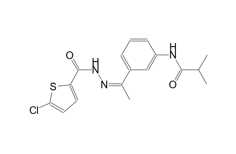 N-(3-{(1Z)-N-[(5-chloro-2-thienyl)carbonyl]ethanehydrazonoyl}phenyl)-2-methylpropanamide