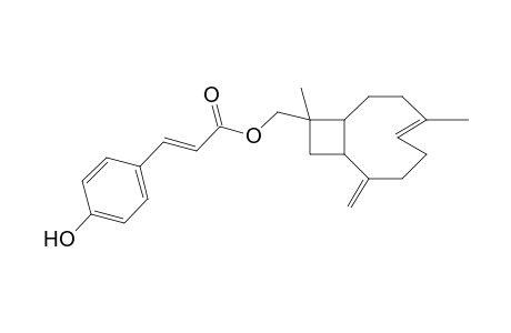 Caryophyllene <9-epi-14-Hydroxy-.beta.->, p-coumarate