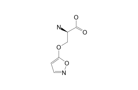 OIS;O-(5-ISOXAZOLYL)-L-SERINE