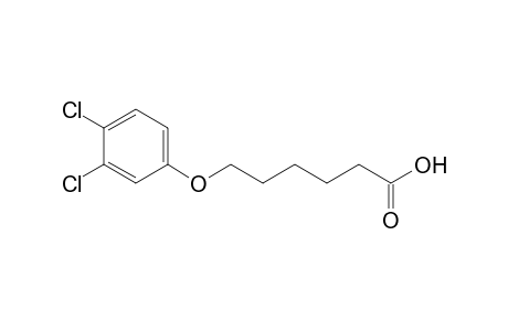 Hexanoic acid, 6-(3,4-dichlorophenoxy)-