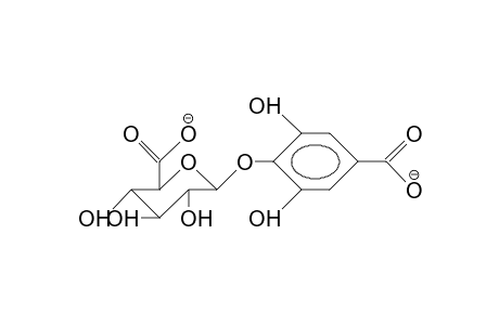 4-O-(3,5-Dihydroxy-benzoic acid)-B-D-glucuronide dianion