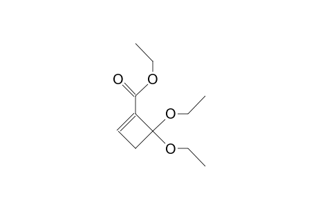 3,3-Diethoxy-2-ethoxycarbonyl-cyclobutene