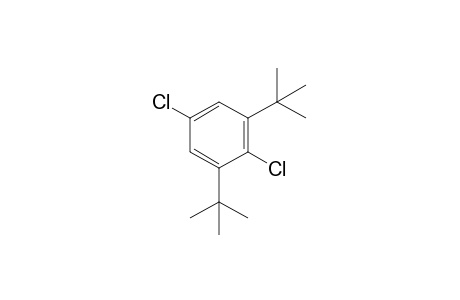 1,3-di-tert-butyl-2,5-dichlorobenzene