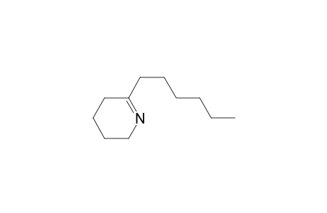 6-Hexyl-2,3,4,5-tetrahydropyridine