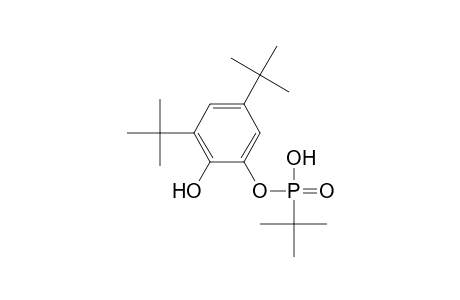 Phosphonic acid, (1,1-dimethylethyl)-, mono[3,5-bis(1,1-dimethylethyl)-2-hydroxyphenyl]ester