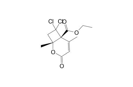 Ethyl 7,7-dichloro-1,5-dimethyl-3-oxo-2-oxabicyclo[4.2.0]oct-4-ene-6-carboxylate