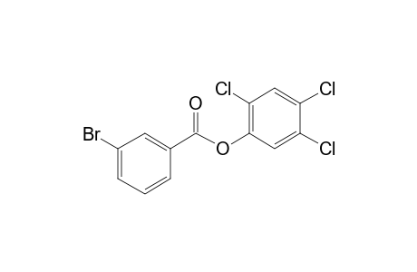 3-Bromobenzoic acid, 2,4,5-trichlorophenyl ester