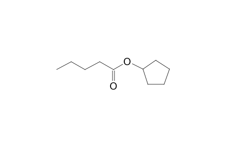 Cyclopentyl pentanoate