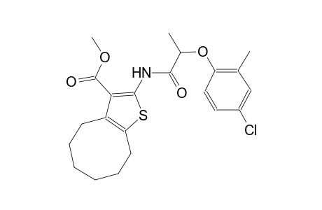 methyl 2-{[2-(4-chloro-2-methylphenoxy)propanoyl]amino}-4,5,6,7,8,9-hexahydrocycloocta[b]thiophene-3-carboxylate