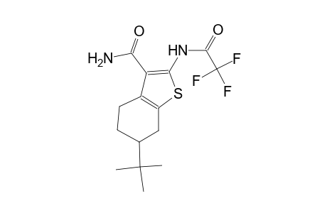 6-tert-butyl-2-[(trifluoroacetyl)amino]-4,5,6,7-tetrahydro-1-benzothiophene-3-carboxamide
