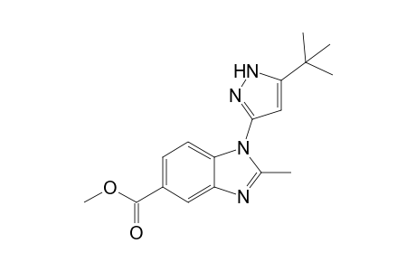 Methyl 1-(5-tert-butyl-1H-pyrazol-3-yl)-2-methyl-1H-benzimidazole-5-carboxylate