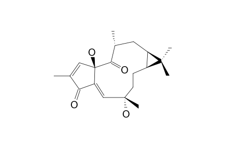 4E-JATROGROSSIDENTADION