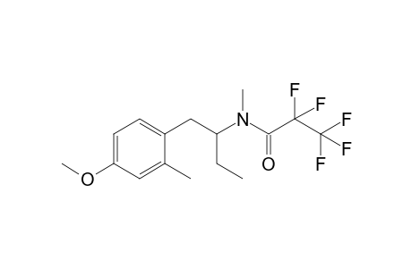 2,2,3,3,3-pentafluoro-N-(1-(4-methoxy-2-methylphenyl)butan-2-yl)-N-methylpropanamide