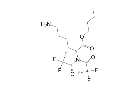 L-Lysine, N2,N2-bis(trifluoroacetyl)-, butyl ester