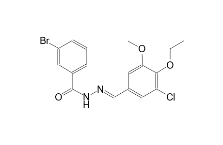 3-bromo-N'-[(E)-(3-chloro-4-ethoxy-5-methoxyphenyl)methylidene]benzohydrazide
