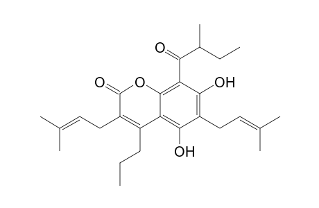 2H-1-Benzopyran-2-one, 5,7-dihydroxy-3,6-bis(3-methyl-2-butenyl)-8-(2-methyl-1-oxobutyl)-4-propyl-, (.+-.)-