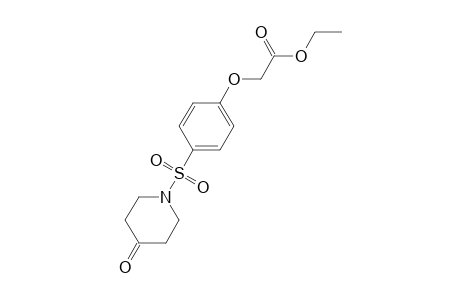 Ethyl-2-[4-(4-oxopiperidin-1-ylsulfonyl)phenoxy]acetate